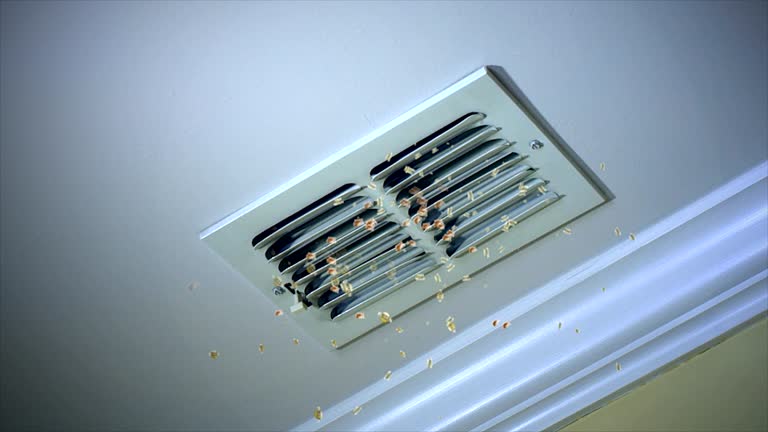 Best Home Air Vent Cleaning  in Nicholson, GA